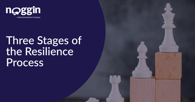Three Stages of the Resilience Process