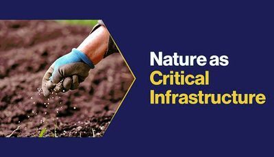 Nature as Critical Infrastructure