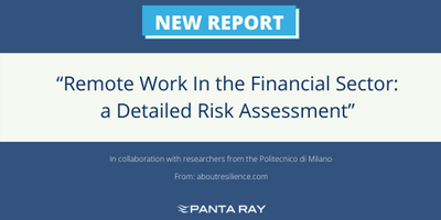 Remote Work In the Financial Sector: a Detailed Risk Assessment
