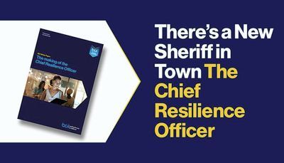 There&rsquo;s a New Sheriff in Town &ndash; The Chief Resilience Officer