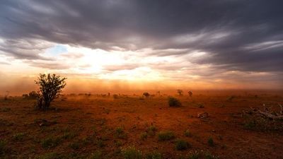 Adapting to Climate Change: Resilience Strategies in Western Africa