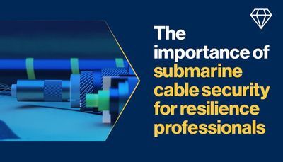 Global Connections at Risk: The Importance of Submarine Cable Security for Resilience Professionals