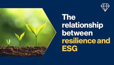 The relationship between resilience and ESG: a cement industry perspective
