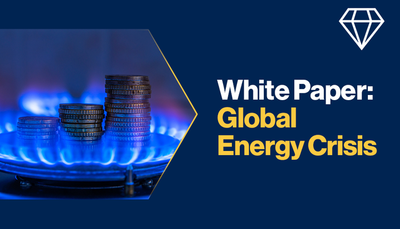 White Paper: Global Energy Crisis Report